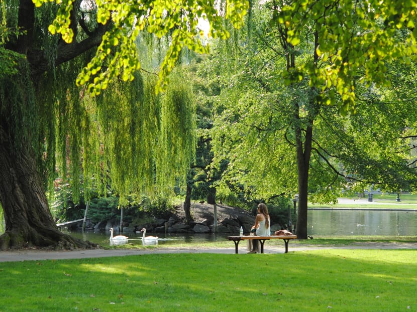 Results from the study showed a 184 per cent improvement in health and other positive affect outcomes in the groups exposed to natural sounds relative to comparison groups.