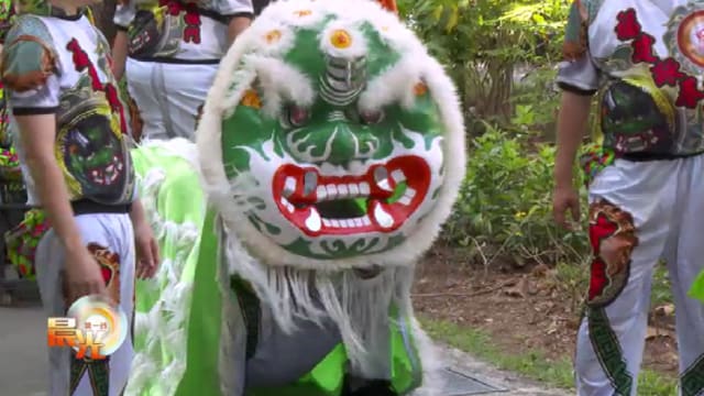 晨光|玩物壮志：三兄妹舞青狮 守护祖传文化