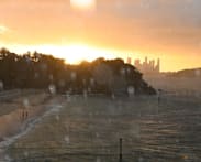 Australian boy in critical condition after Sydney Harbour shark attack