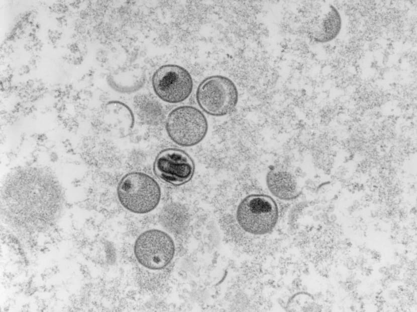 MOH weighing monkeypox vaccination for workers at higher risk, not for general public