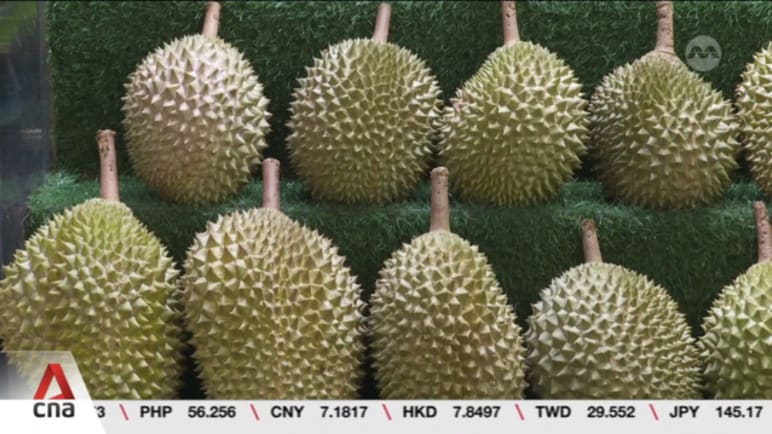 Singapore durian sellers say prices to drop by up to 30% during peak harvest period in July