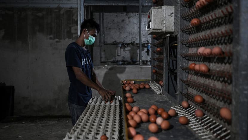 'Don’t hoard': KL residents warned against panic buying amid egg shortage 'Don’t hoard': KL residents warned against panic buying amid egg shortage