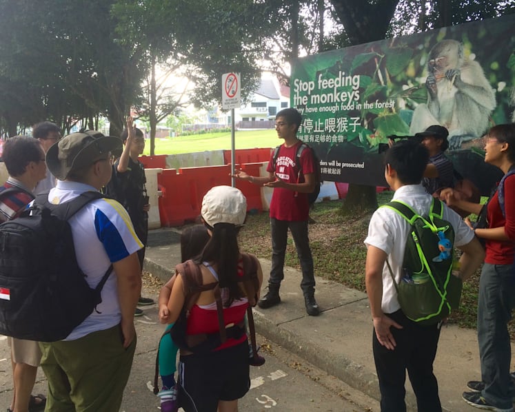Programme to mentor young environmentalists set to expand
