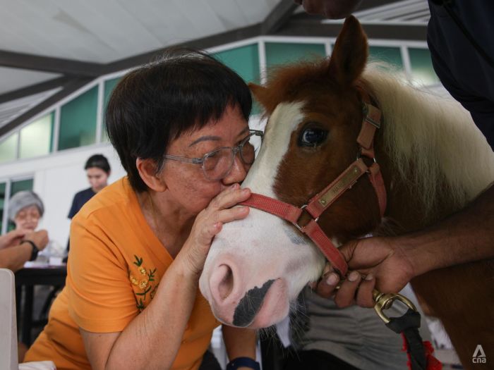 In Pictures: Never too old to have new experiences, as seniors find stable companions outside of home