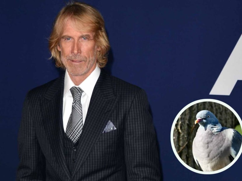 Michael Bay Charged With Killing A Pigeon On The Set Of 2019 Netflix Movie 6 Underground While Filming In Italy