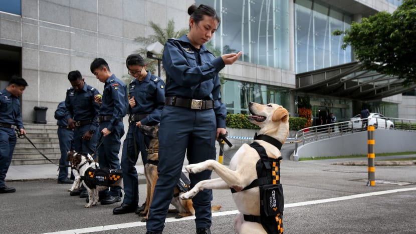 Certis launches new K-9 unit to work with auxiliary police