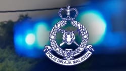 Related article image