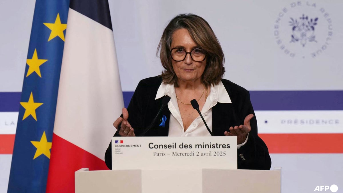 EU to target US online services after Trump tariffs: France