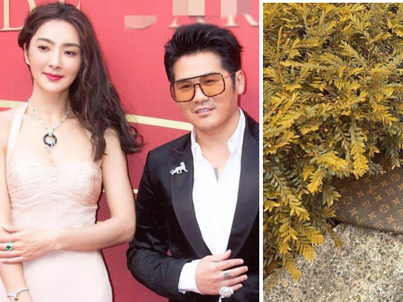 Gary Chaw&rsquo;s Wife Finds Her Louis Vuitton Bag Lying In A Bush More Than 20 Days After Losing It
