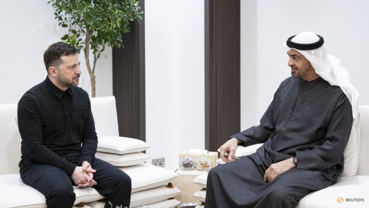Ukraine, UAE agree to cooperate on defence, Zelenskyy says