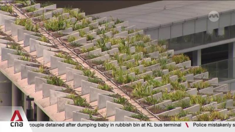 World Cities Summit: Urban leaders look beyond greenery to build resilience in a hotter world 