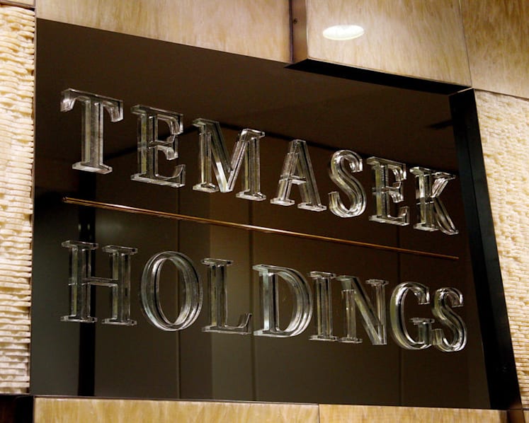 Amid dismal 2020 for investors, state investor Temasek places bets on long-term trends accelerated by Covid-19