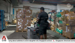 Logistics firms rush to deliver amid surge in e-commerce packages from 11.11 sales