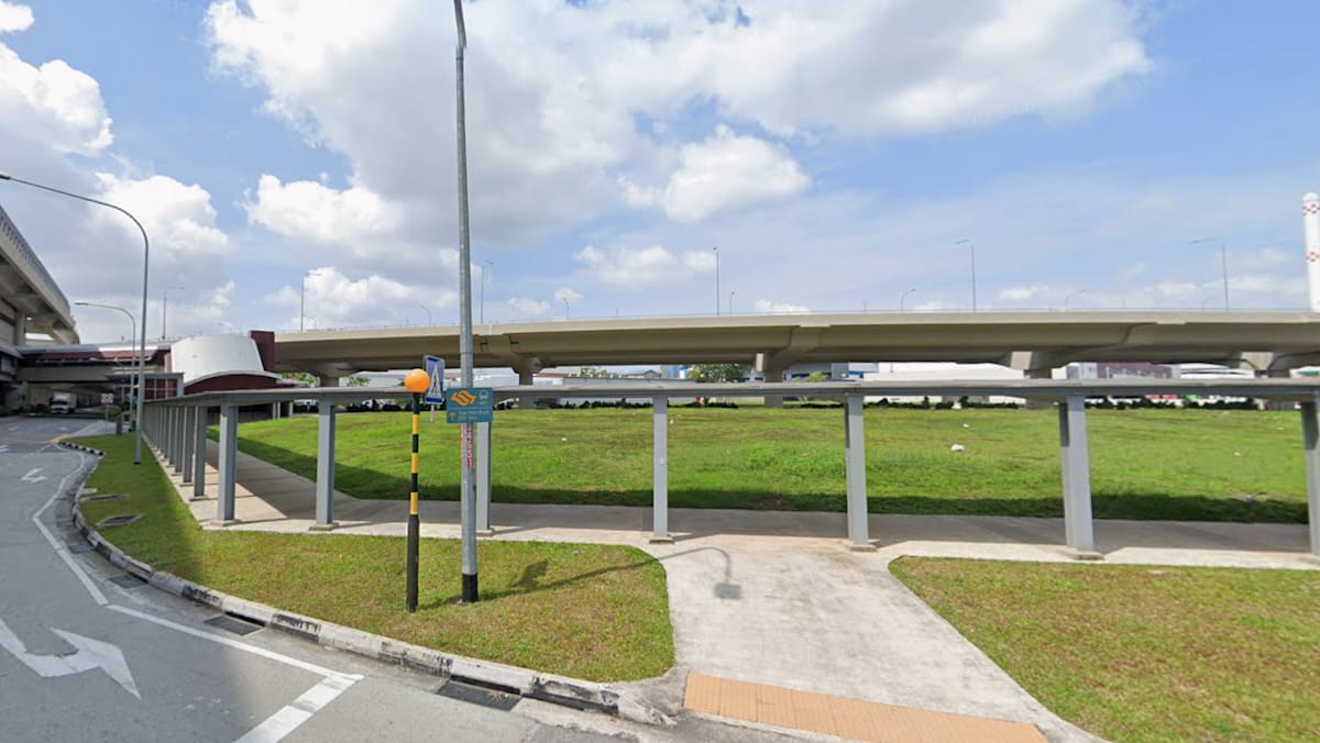 Man pleads guilty to raping 32-year-old woman at field near Tuas West Road MRT station