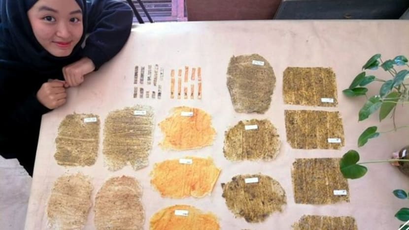 Beg mini dari sisa kulit buah ciptaan pelajar M'sia diiktiraf dunia