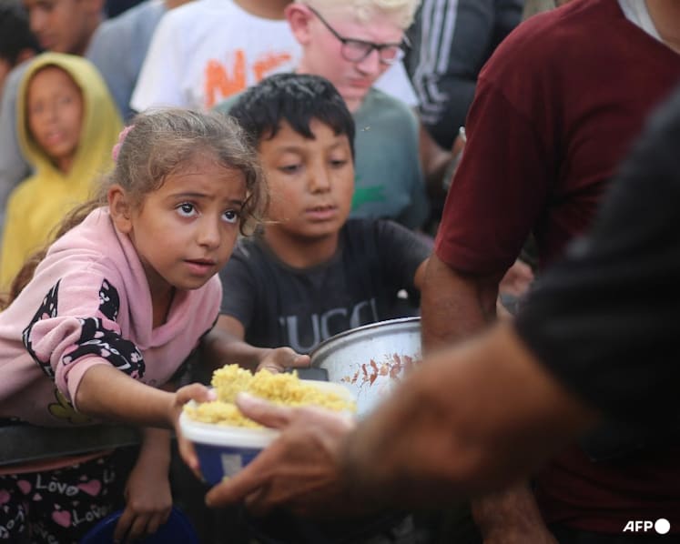Doctors Without Borders resumes Gaza City operations amid ceasefire, but situation still 'horrific'