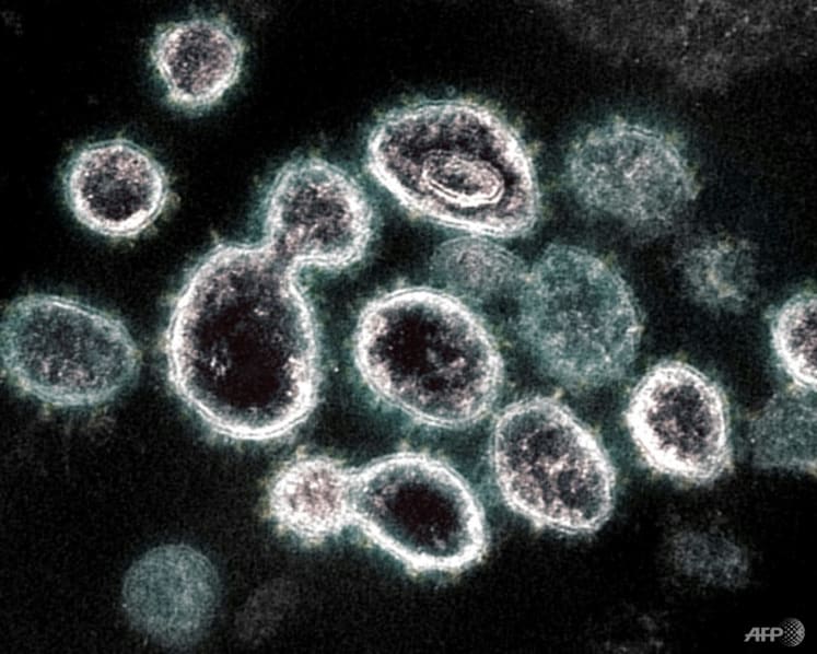 Commentary: Will the new COVID-19 variant BA.2 cause another wave of infections?