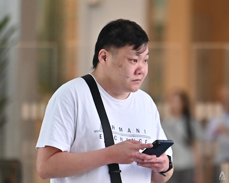 Man admits sending SM Lee doctored photo of Marina Bay Sands on fire as 'prank'