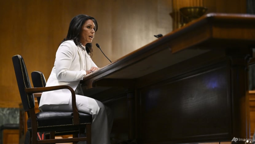 Gabbard confirmed as US intel chief in latest victory for Trump Gabbard confirmed as US intel chief in latest victory for Trump