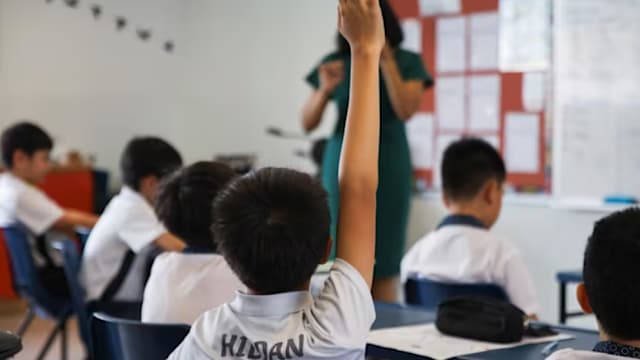 一文看懂：教育部培养小学生学术特长新方针