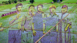 Related article image