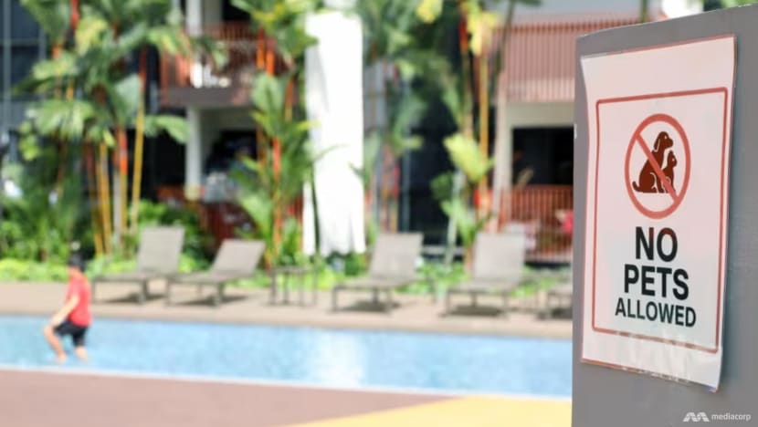 The Big Read: No music, pets in certain areas – condo residents lament 'strict, absurd rules' amid competing needs The Big Read: No music, pets in certain areas – condo residents lament 'strict, absurd rules' amid competing needs