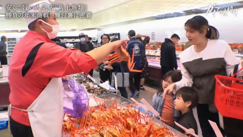 Gaia Series 80: Year-End Sales Season For Horned Fish Gaia Series 80: Year-End Sales Season For Horned Fish