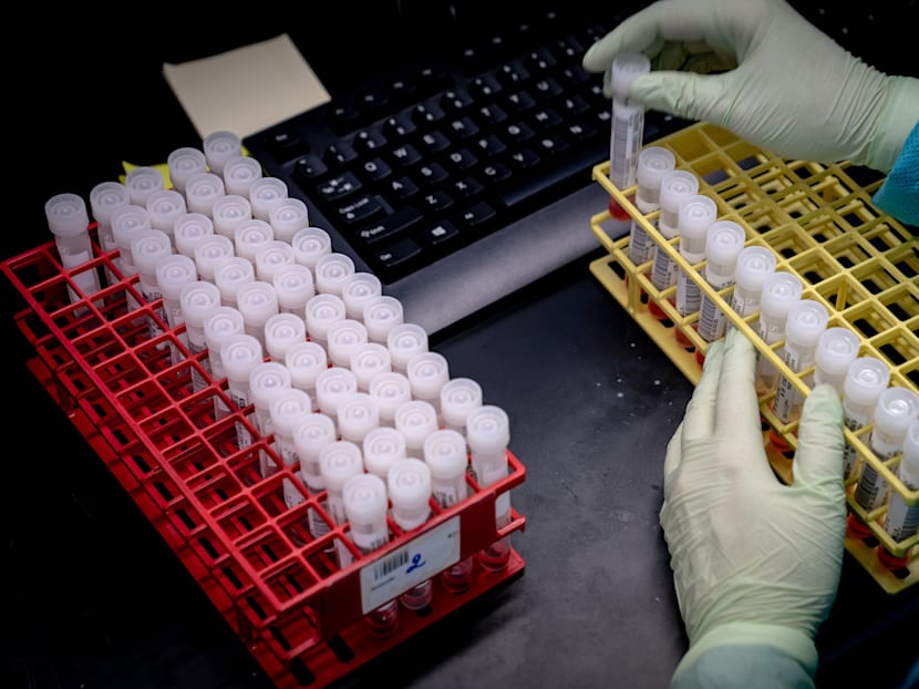 Here’s how scientists know the coronavirus came from bats and wasn’t made in a lab