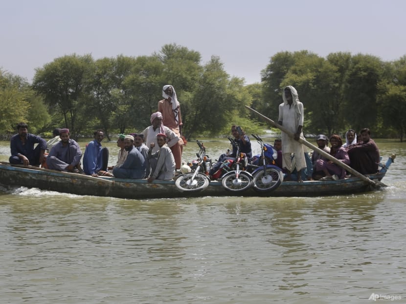 Drive for climate compensation grows after Pakistan's floods