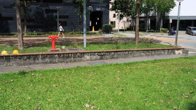 目睹男子性侵醉酒女佣 散工再霸王硬上弓被判监打鞭 