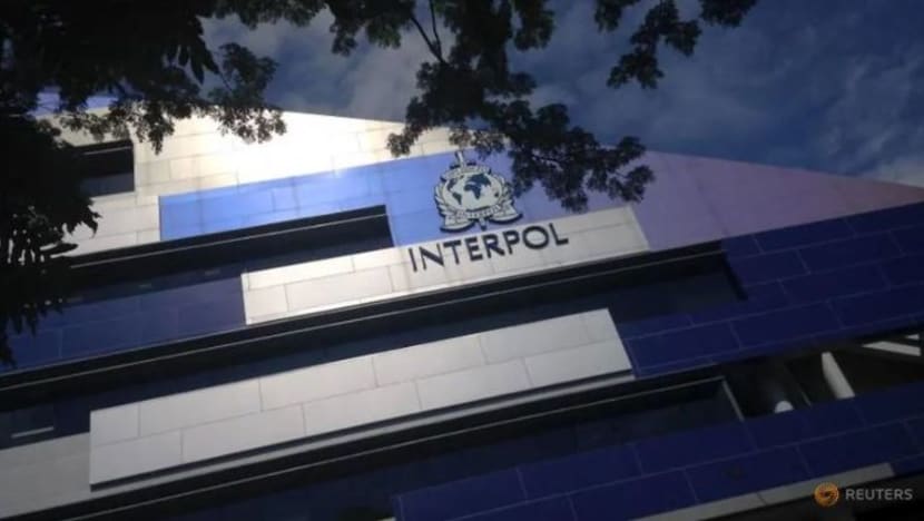 Interpol akan perluas kehadiran di SG, sedang kes seludup dadah rentas sempadan, jenayah siber meningkat