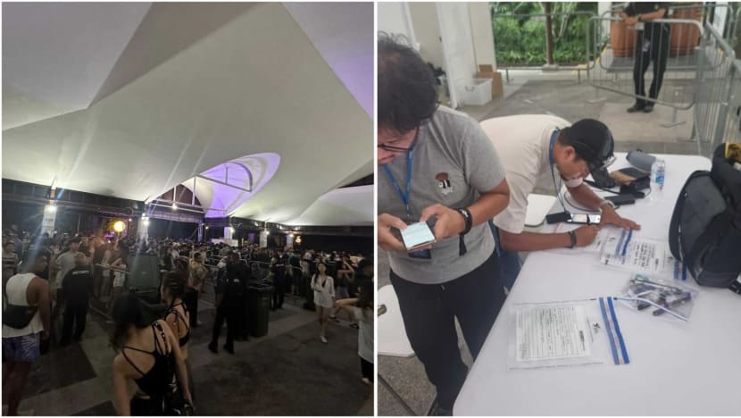 176 people caught at ZoukOut in crackdown on vapes