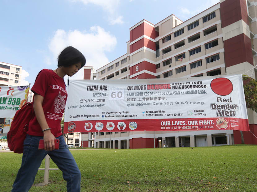 The Big Read: As temperatures and urbanisation increase, fight against dengue will only get tougher