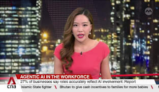 27% of businesses say roles accurately reflect AI involvement: Report