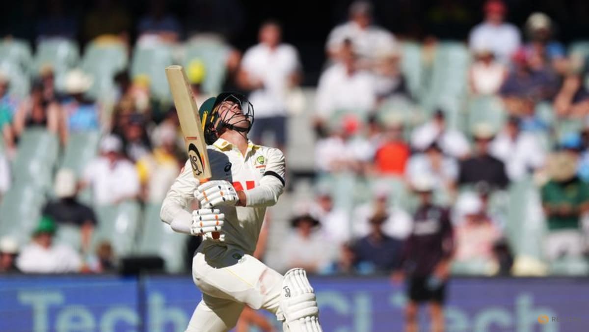 Australia board chief condemns DRS 'clanger' in Ashes test