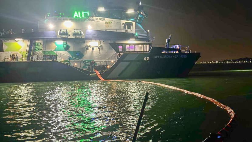 Clean-up off Pulau Ubin, along Changi Beach underway after oil leak at Johor terminal Clean-up off Pulau Ubin, along Changi Beach underway after oil leak at Johor terminal