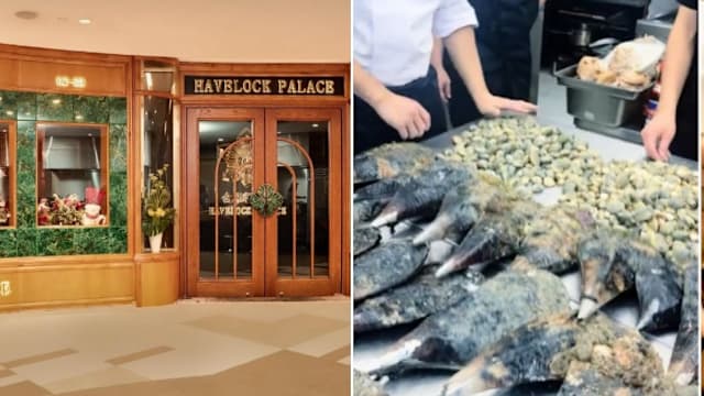 餐馆烹煮外带野生海产惹议 专家：煮熟不等于安全