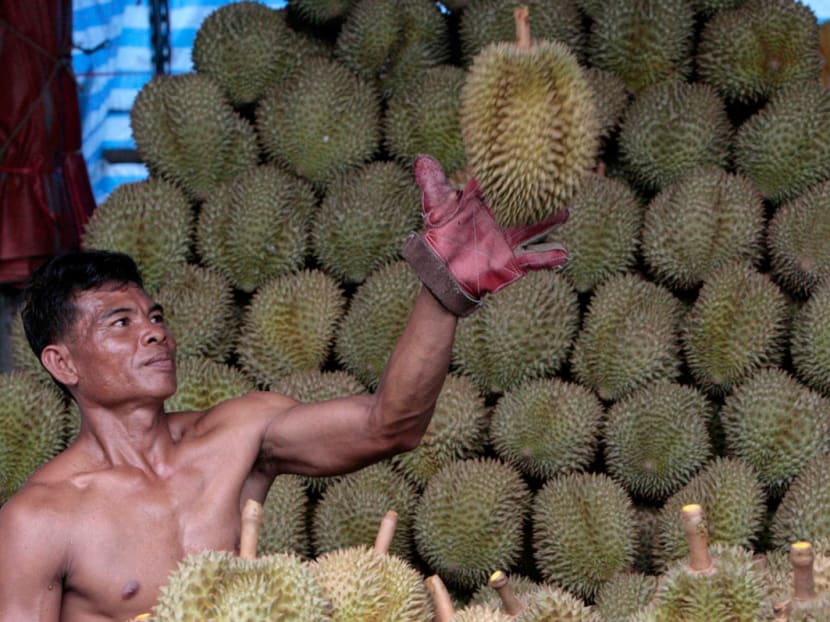 Putrajaya, state govts to control durian foreign investment, says minister