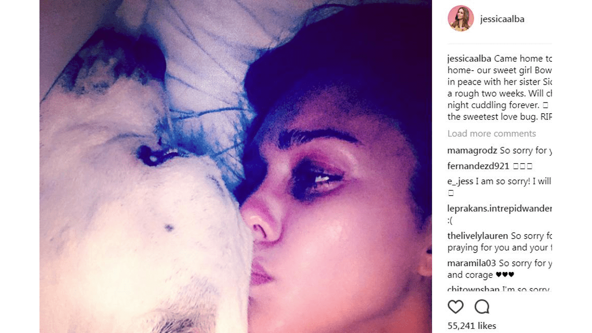 Jessica Alba mourns second dog 8days