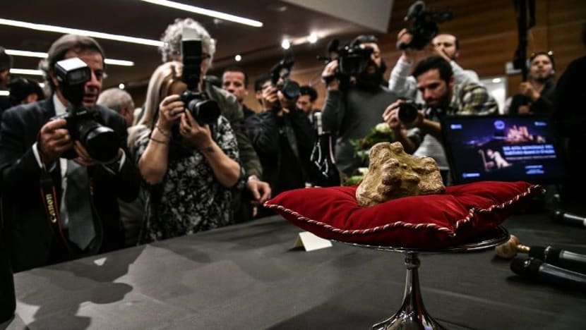 Gambar Pilihan Hari Ini