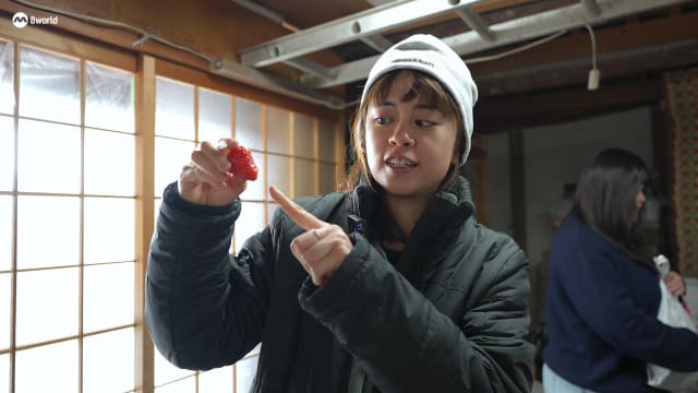 教人种田却没碰过泥 她辞职赴日当真正的农民