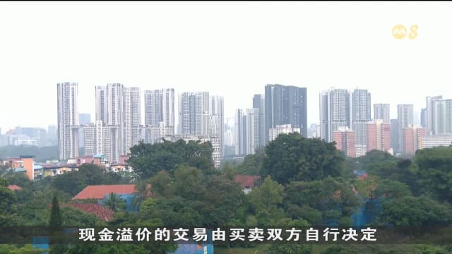 支付现金溢价转售组屋买家减少 下跌至去年的18%