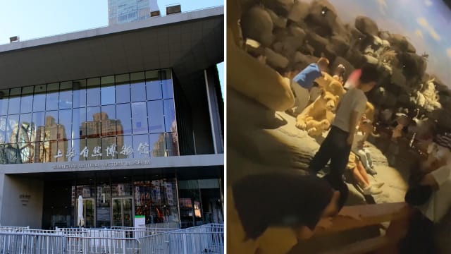 中国多名儿童闯入博物馆展区触摸标本　馆方：已现场制止