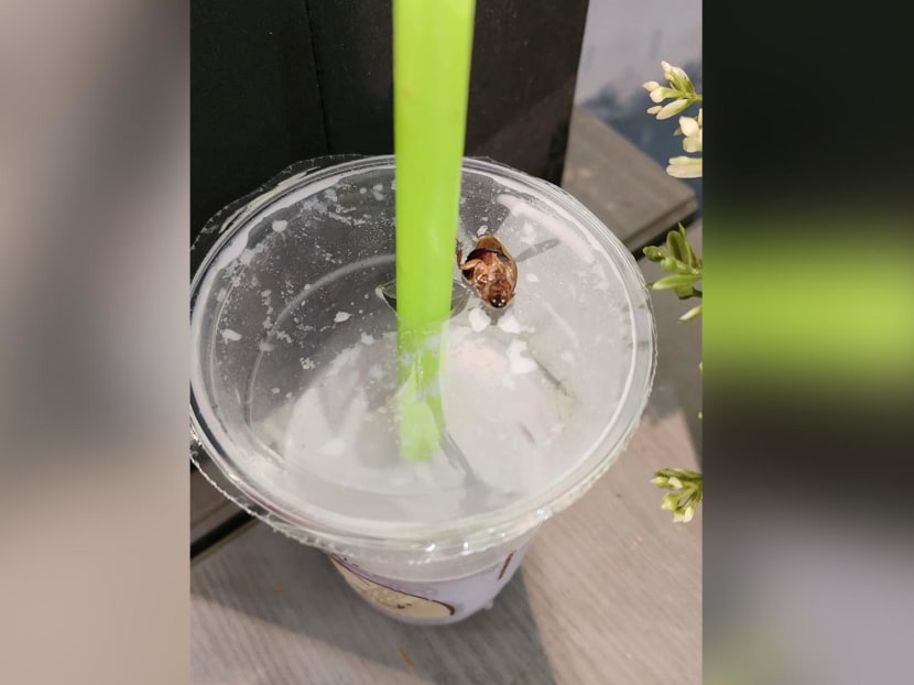 A photo posted by the Facebook user showing a cockroach on the plastic cover of the drink. A photo posted by the Facebook user showing a cockroach on the plastic cover of the drink.