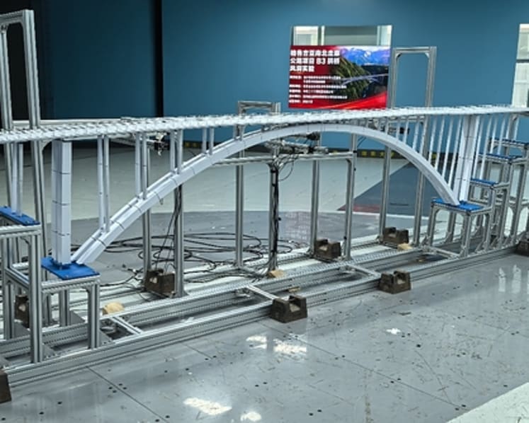 China Conducts a Comprehensive "Wind-Induced Vibration Check-Up" for a Super Bridge in Georgia, withstanding Gale-Force Winds of Level 9 and Temperatures as Low as -20°C