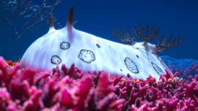 “One Ocean: Every Action Ripples” 全球首展来了！带你“潜入深海”看七大海洋奇观