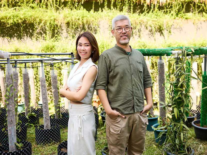 How these vanilla farmers in Singapore took their plants from HDB corridors to luxury hotels