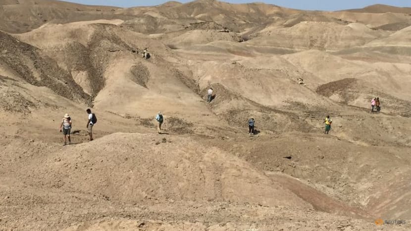 Ethiopian fossils reveal new species in human evolutionary lineage Ethiopian fossils reveal new species in human evolutionary lineage
