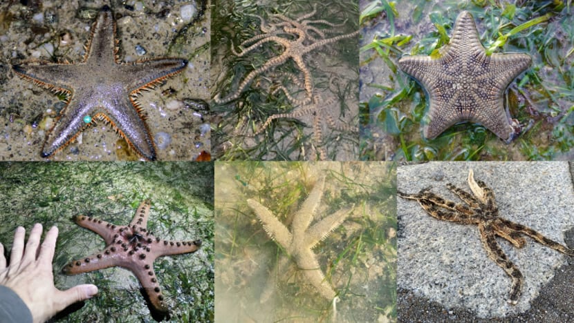 Related article image