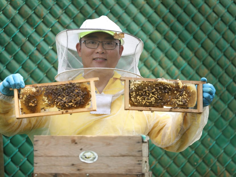 Beekeeper Xavier Tan holding up honeycomb at his apiary at The Ashram, April 23, 2018. Photo: Raj Nadarajan/TODAY